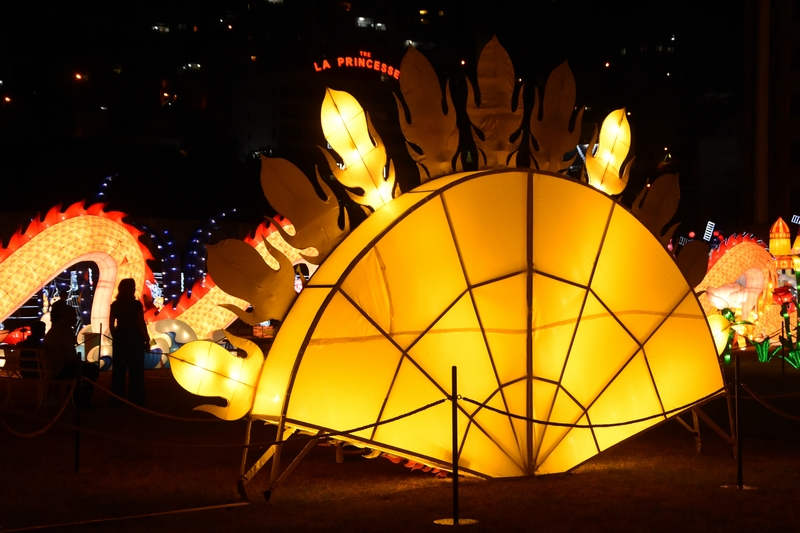 WONDERLAND A magical city of lights